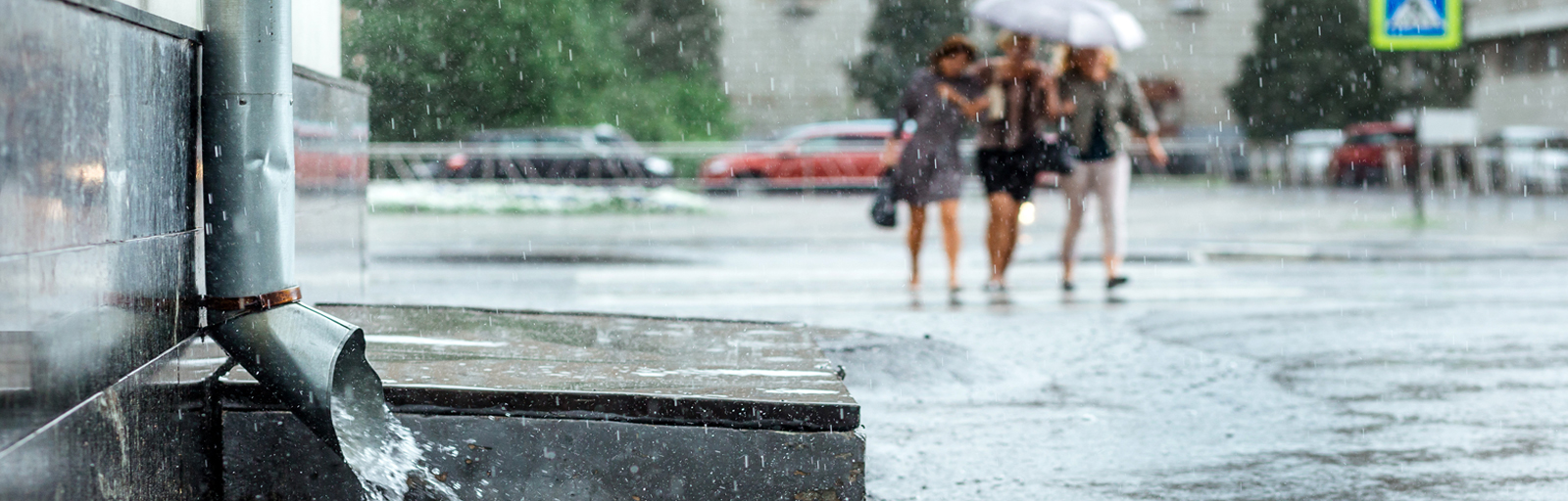 The California Drought: Is it Over Yet?