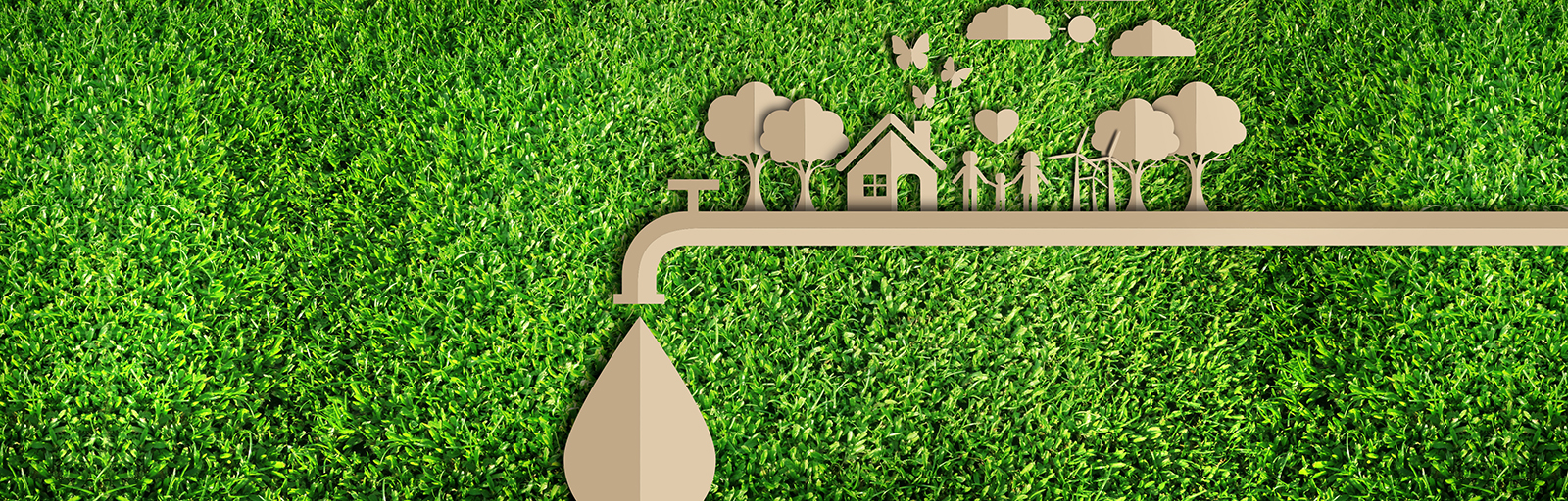 Five Easy Ways to Conserve Water