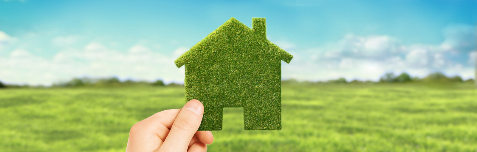 Money Saving Tips on Making Your Home Greener