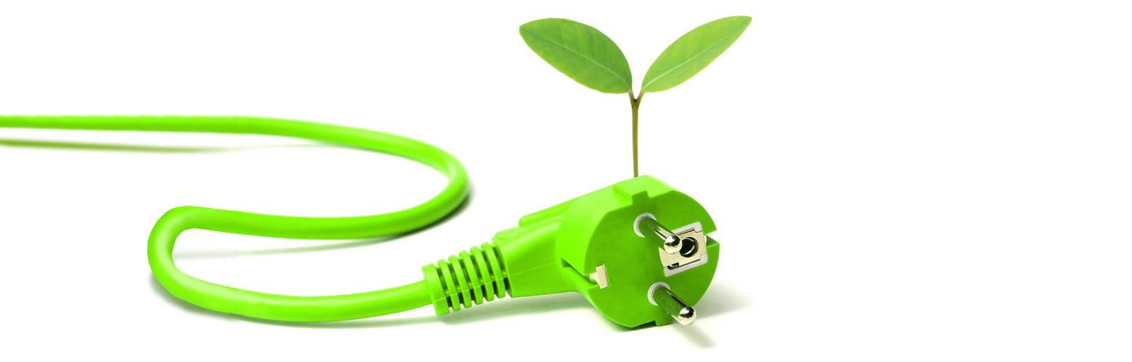 Simple Ways to Have a More Eco-Friendly Office 