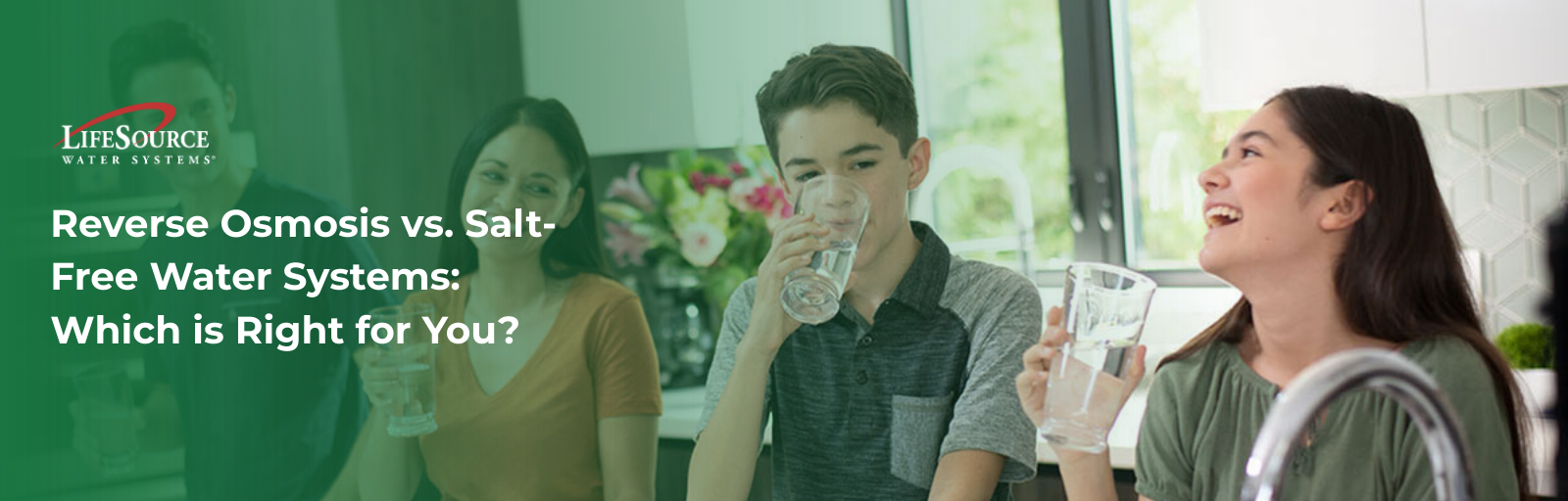 Reverse Osmosis vs. Salt-Free Water Systems: Which is Right for You?