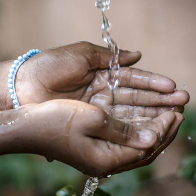 Preview image for article: Did You Know? H2O Edition