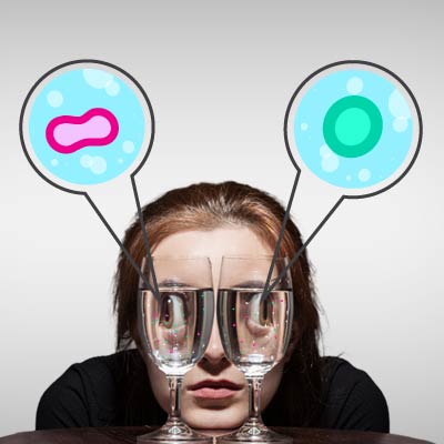 Preview image for article: Chlorine & Chloramines in Our Water