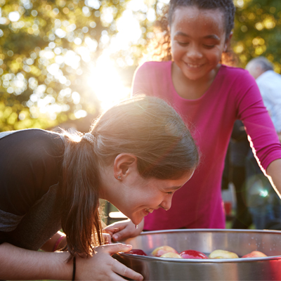 Preview image for article: Bobbing for Apples is Back!