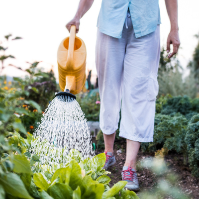 Preview image for article: 8 Tips Before You Landscape! 