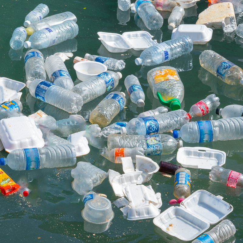 Preview image for article: Stop Using Plastic Water Bottles