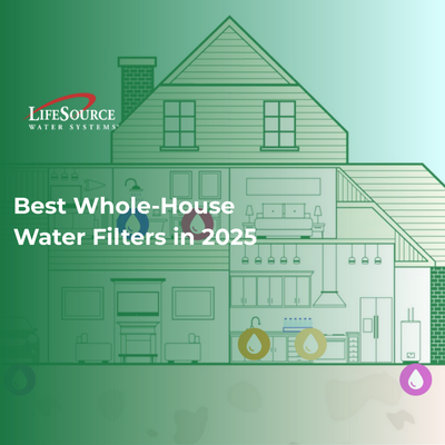 Preview image for article: Best Whole-House Water Filters in 2025