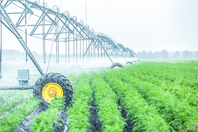 Preview image for article: Why Are Water Softeners Being Banned by Law?