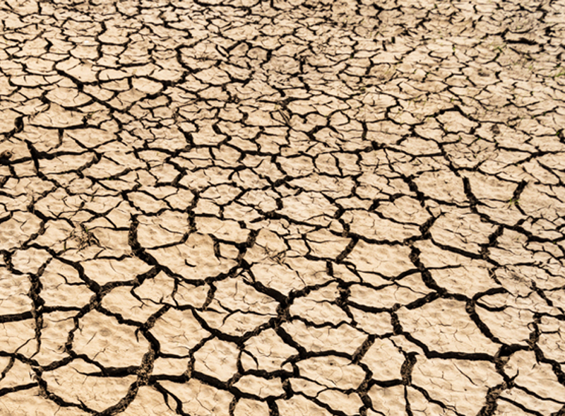 Preview image for article: The Drought; Facts, Myths and Mysteries